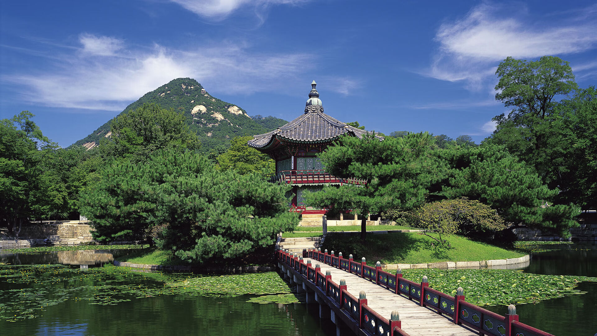 世界举重康复名师驻点教学月精品课程年度合辑上线,世界举重视频