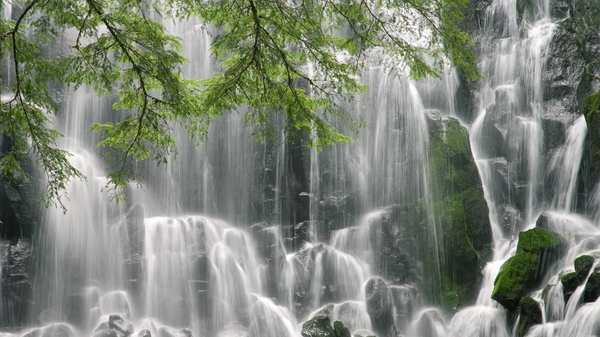 世界体能训练科研奖揭晓：跨学科项目获评为年度亮点，体能训练专业的学校有哪几所